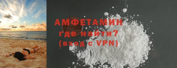 сатива Новодвинск