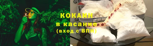 сатива Новодвинск