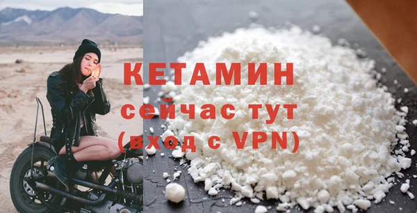 сатива Новодвинск