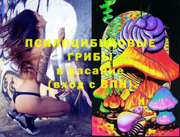 прущая мука Новозыбков