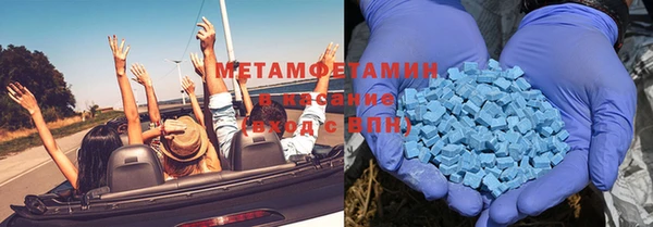 сатива Новодвинск