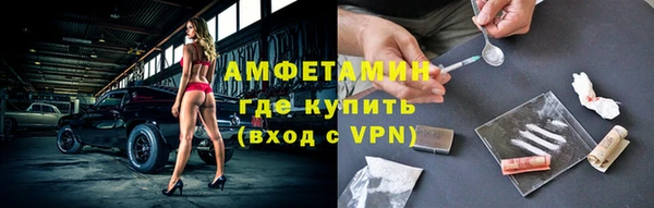 сатива Новодвинск
