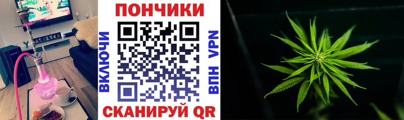 где можно купить   Петушки  МАРИХУАНА MAZAR 